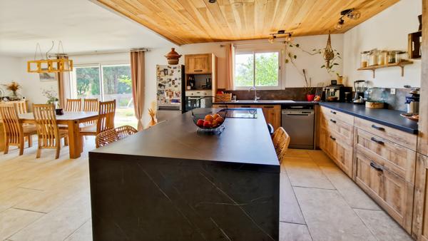 Uzès (30700) A vendre maison avec beau terrain arboré proche Uzès