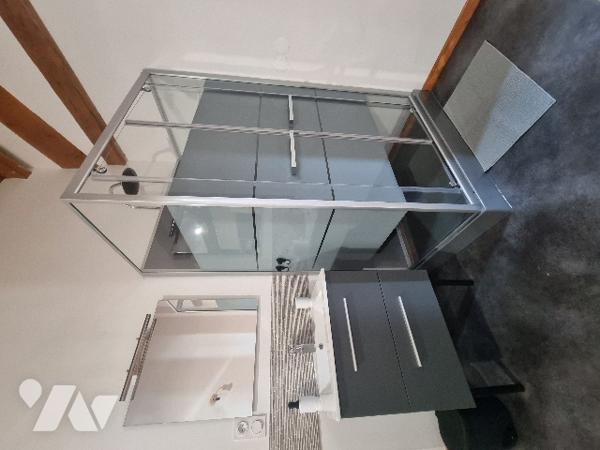 A VENDRE CAZERES  à LE PLAN  petit immeuble de 2 appartements