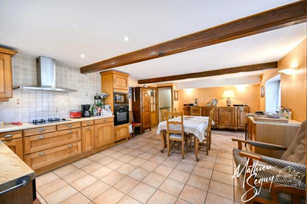 THURINS - Grande propriété P8 verdoyante