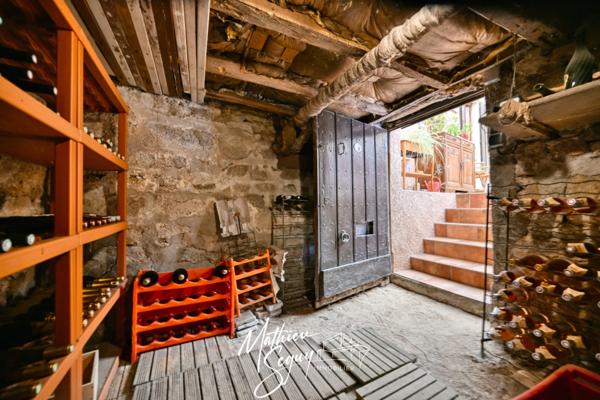 THURINS - Grande propriété P8 verdoyante