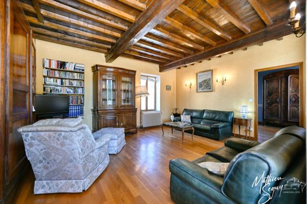 THURINS - Grande propriété P8 verdoyante