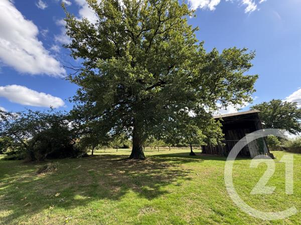 Maison à vendre  3 pièces - 62,94 m2 NEUVY ST SEPULCHRE - 36