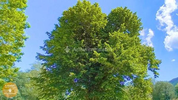 Vente Propriété 10 pièces 310 m2 à Castres