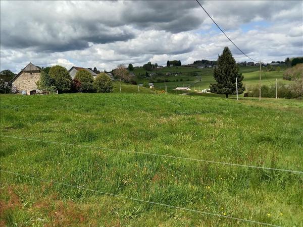 Terrain à vendre |  Albussac |  2500 m²