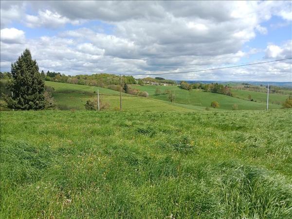 Terrain à vendre |  Albussac |  2500 m²