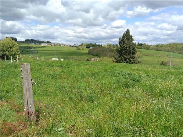 Terrain à vendre |  Albussac |  2500 m²
