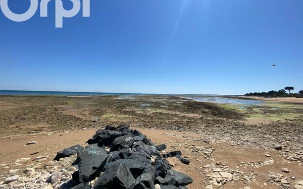 Terrain à vendre    La Brée-les-Bains