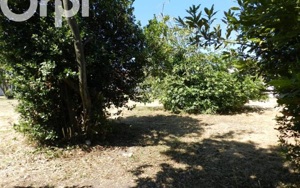 Terrain à vendre    La Brée-les-Bains