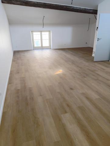 MAGIFIQUE T3 REFAIT DE NEUF EN 3EME ETAGE
