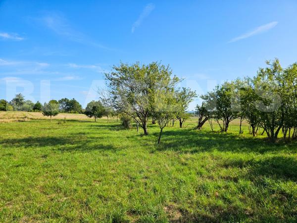 Maison familiale avec terrain arboré et verger - Châtellerault