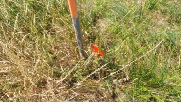 Terrain à vendre de 821,00 m² MASCLAT (46)