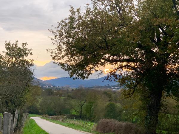 🏡 Maison en pierre pleine de charme – 133 m² – Quintenas