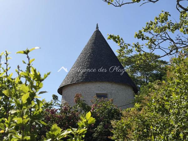 GROS POTENTIEL - MESCHERS