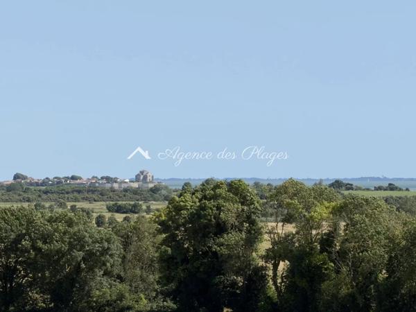GROS POTENTIEL - MESCHERS