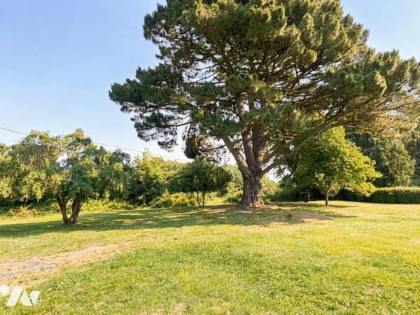 2145 - Saint-Martin-des-Champs — Maison 125 m² + dépendances + hangar — 2 304 m²