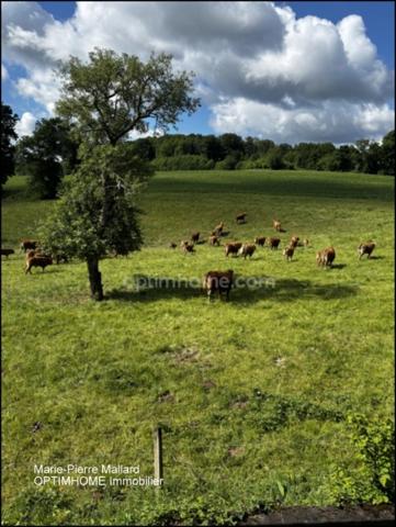 Ensemble immobilier à rénover à SAINT DIZIER LEYRENNE (23)