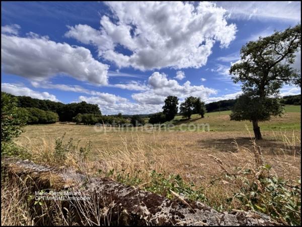 Ensemble immobilier à rénover à SAINT DIZIER LEYRENNE (23)