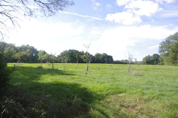 Maison en pierre à restaurer de 200 m², 8 pièces à aménager, terrain d'environ 3ha située au calme à vendre.