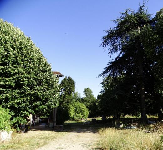 Vente / Maison de village