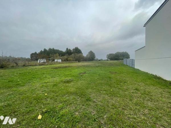 Terrain constructible