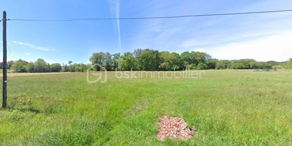 Terrain de 5 200 m²