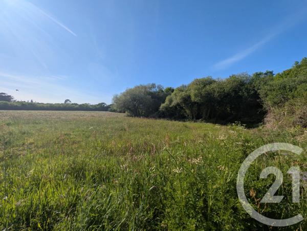 Terrain à vendre  1082 m 2   ST GILDAS DE RHUYS  - 56