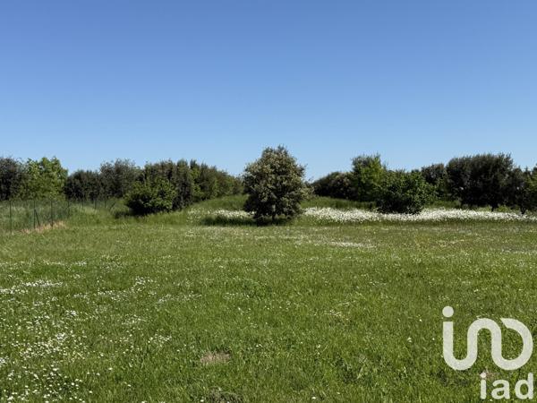 Maison 9 pièces de 225 m² à Saint-Hilaire-la-Palud (79210)