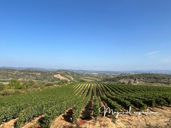 Limoux (11300) Domaine viticole AOP LIMOUX certifié AB de 34 hectares avec habitations et cave.