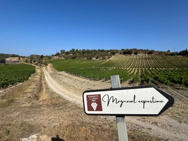 Limoux (11300) Domaine viticole AOP LIMOUX certifié AB de 34 hectares avec habitations et cave.