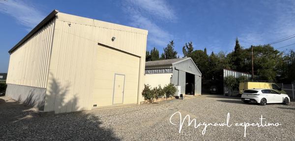 Limoux (11300) Domaine viticole AOP LIMOUX certifié AB de 34 hectares avec habitations et cave.