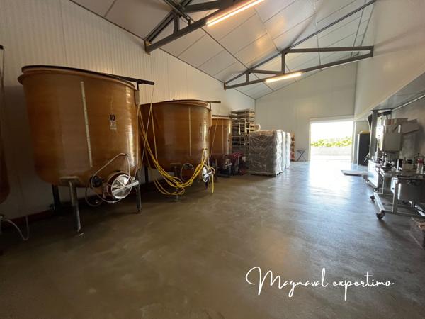 Limoux (11300) Domaine viticole AOP LIMOUX certifié AB de 34 hectares avec habitations et cave.