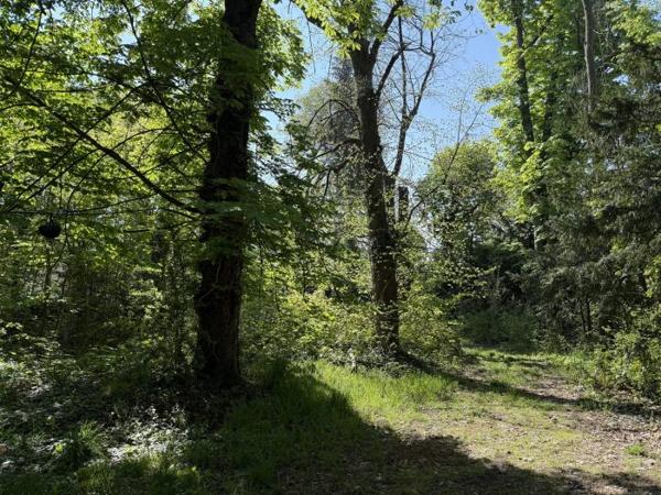 En exclusivité - Maison de caractère à réhabiliter