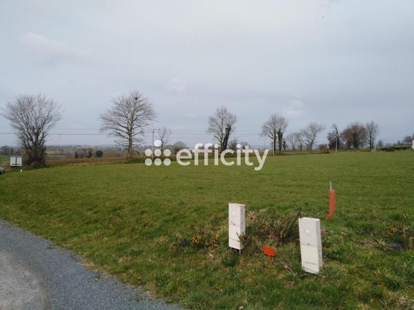 Terrain - 1264 m²