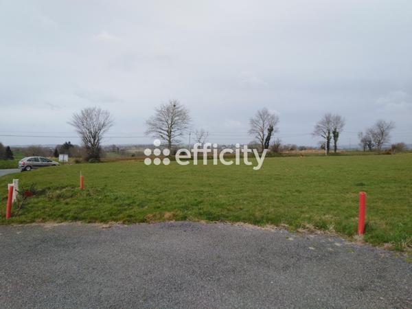 Terrain - 1264 m²