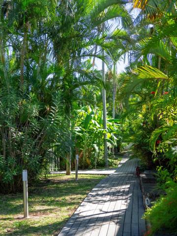 Magnifique propriété avec une villa, un studio et 6 bungalows à vendre LA RIVIERE (974)