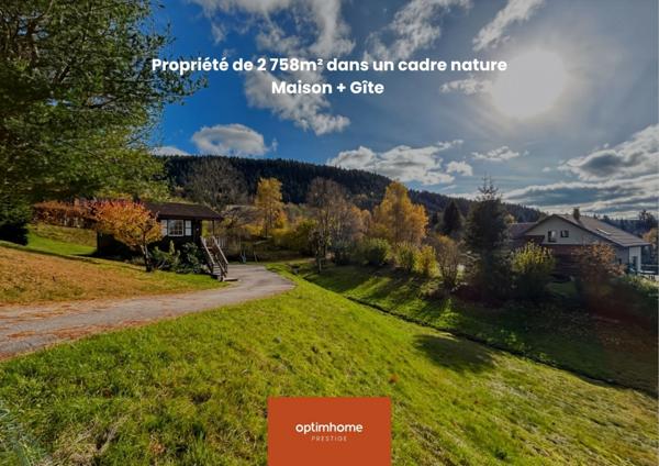 Ensemble immobilier - Maison + Gîte à GERARDMER (88)