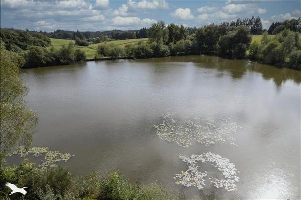 Maison à vendre |  Saint-Yrieix-la-Perche |  1 pièce | 39 m²