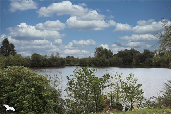 Maison à vendre |  Saint-Yrieix-la-Perche |  1 pièce | 39 m²