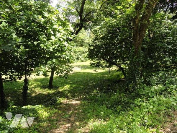 Propriété en zone naturelle   composée de 4 logements d'une superficie totale de 232.37m² . Le ...