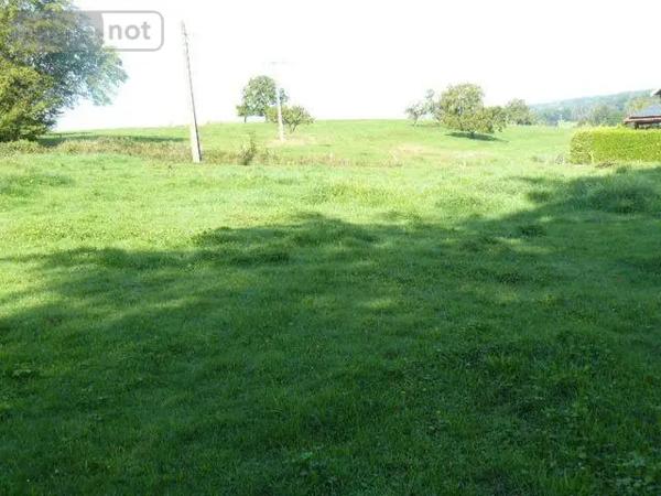 Achat - Terrain à bâtir | Terrain à bâtir Sainte-Barbe 88700 2000 m 2 2000 m 2