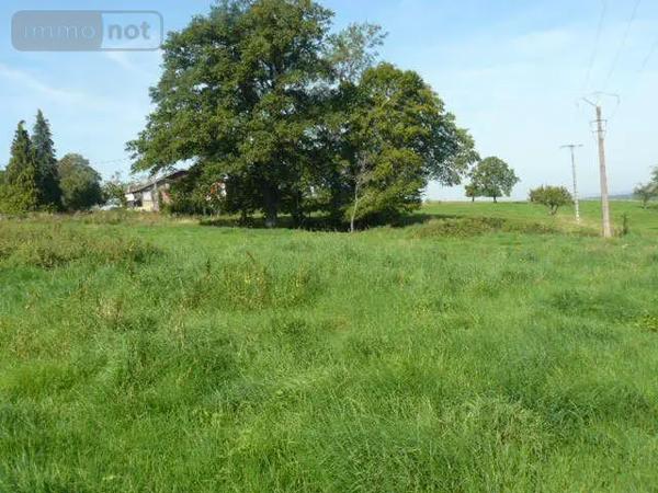 Achat - Terrain à bâtir | Terrain à bâtir Sainte-Barbe 88700 2000 m 2 2000 m 2