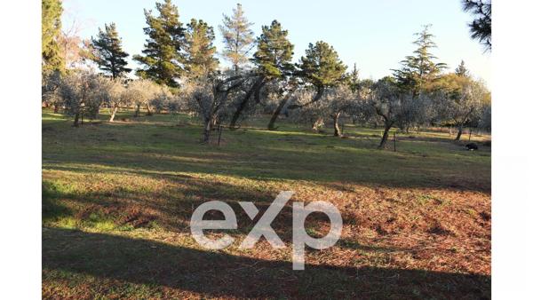 DOMAINE 2 HABITATIONS SUR 5 HECTARES DE TERRAIN