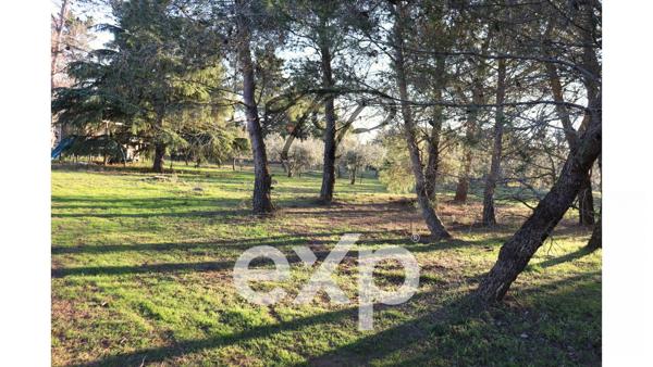 DOMAINE 2 HABITATIONS SUR 5 HECTARES DE TERRAIN