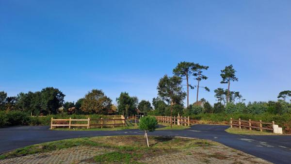Terrain Moliets Et Maa 1111 m2