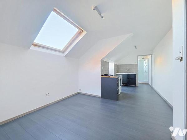 Ensemble immobilier avec hangar, cellule commerciale et deux appartements.
