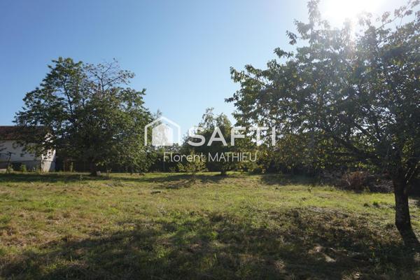 Terrain borné, arboré et constructible 1000m².