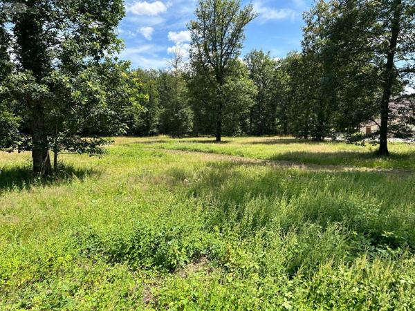 Terrain à Batir à vendre à Herbault dans le Loir-et-Cher (41190), ref : 41022/1252