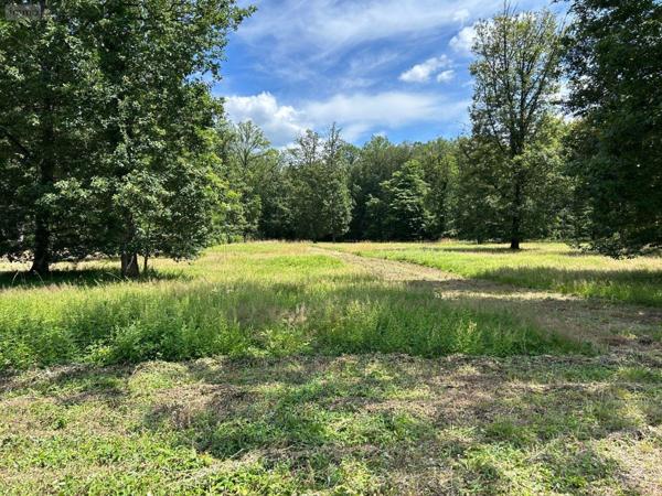 Terrain à Batir à vendre à Herbault dans le Loir-et-Cher (41190), ref : 41022/1252