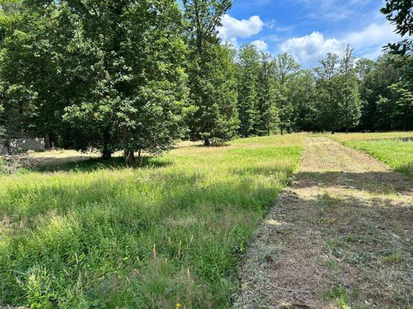 Terrain à Batir à vendre à Herbault dans le Loir-et-Cher (41190), ref : 41022/1252