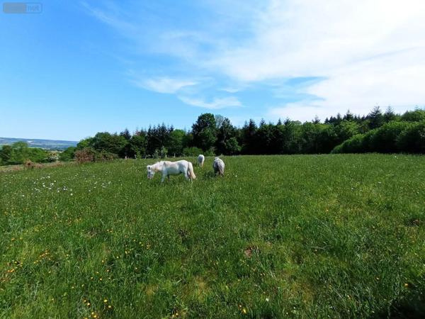 Achat - Propriété | Propriété Ménil-Hubert-sur-Orne 61430 3 pièces 78 m 2 2 m 2